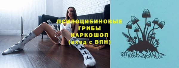 герыч Алексин