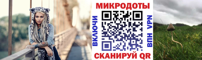 Галлюциногенные грибы Psilocybine cubensis  купить наркотик  Железноводск 