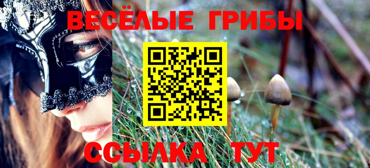 Псилоцибиновые грибы мухоморы  Вход с VPN  Железноводск  Псилоцибиновые грибы Psilocybe 
